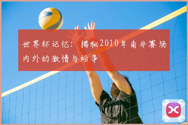 世界杯记忆：揭秘2010年南非赛场内外的激情与纷争