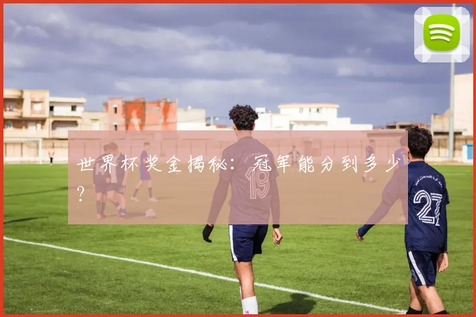 世界杯奖金揭秘:冠军能分到多少?