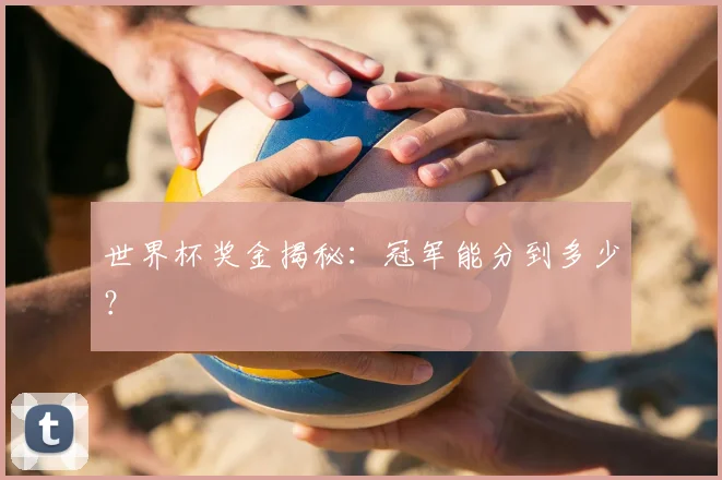 世界杯奖金揭秘:冠军能分到多少?