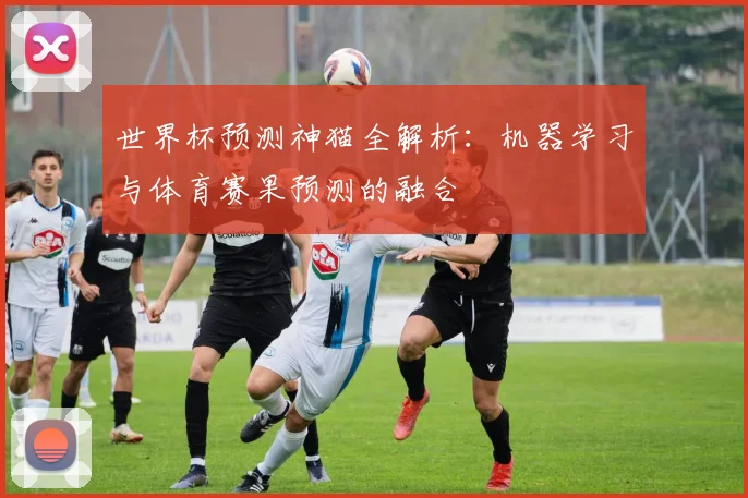 世界杯预测神猫全解析：机器学习与体育赛果预测的融合