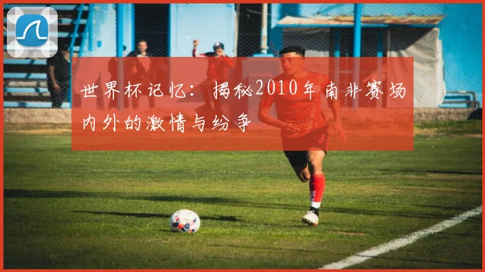 世界杯记忆：揭秘2010年南非赛场内外的激情与纷争