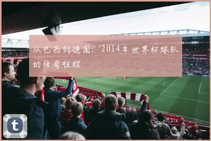 从巴西到德国：2014年世界杯球队的传奇征程