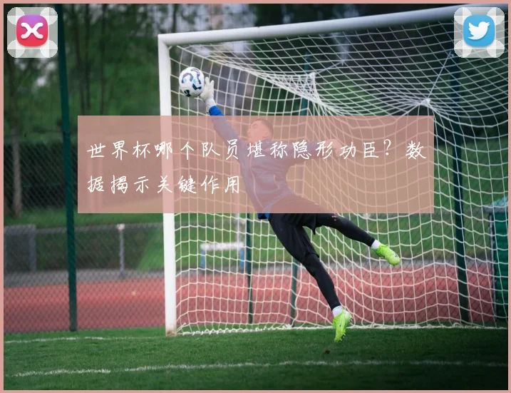 世界杯哪个队员堪称隐形功臣？数据揭示关键作用