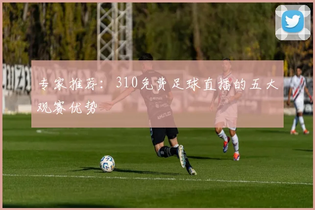 专家推荐:310免费足球直播的五大观赛优势